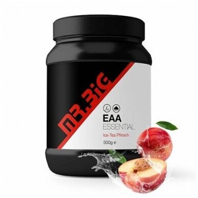 Mr.Big Amino EAA Pulver | 500g